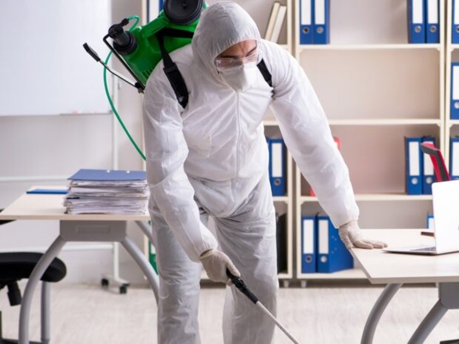 Contrôle des dispositifs anti-nuisibles dans un local professionnel